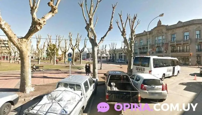 Plaza papeles y más - San José De Mayo