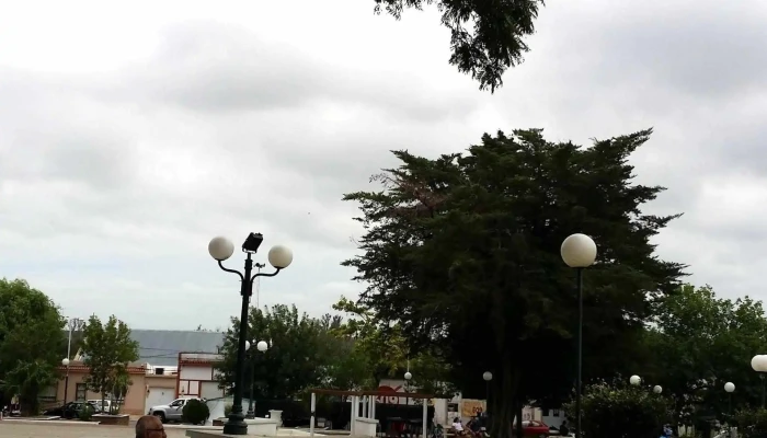 Plaza Rivera -  Comentario 2 - Mercedes