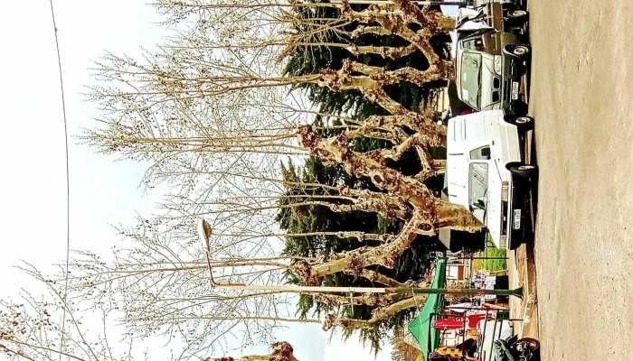 Plaza Rivera -  Comentario 8 - Mercedes