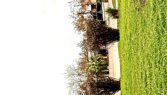 Plaza Rivera -  Comentario 9 - Mercedes