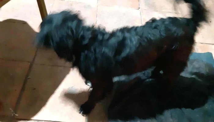 Plaza Samuel Priliac -  Comentario 1 - Chuy