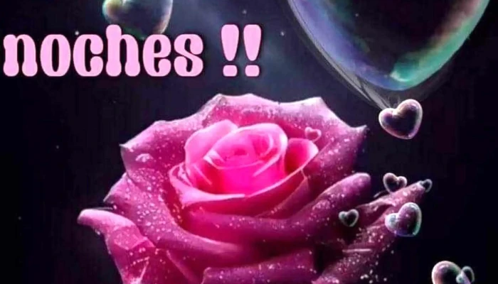 Plaza Samuel Priliac -  Comentario 3 - Chuy