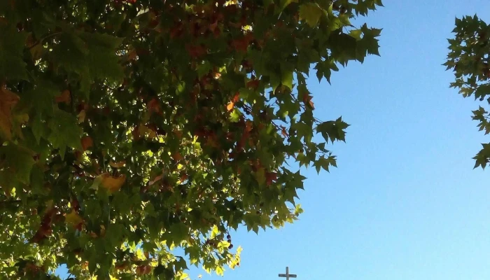 Plaza San Jacinto Canelones Uruguay Comentario 3 - San Jacinto