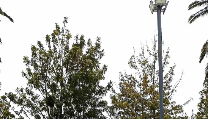 Plaza San Jacinto Canelones Uruguay Comentario 5 - San Jacinto