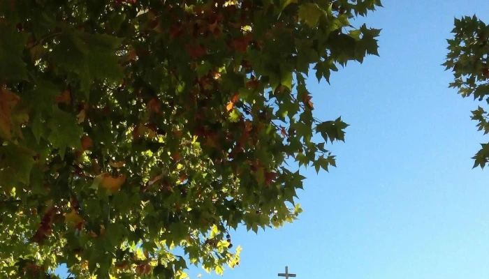 Plaza San Jacinto Canelones Uruguay Fotos - San Jacinto