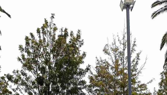 Plaza San Jacinto Canelones Uruguay Ubicacion - San Jacinto