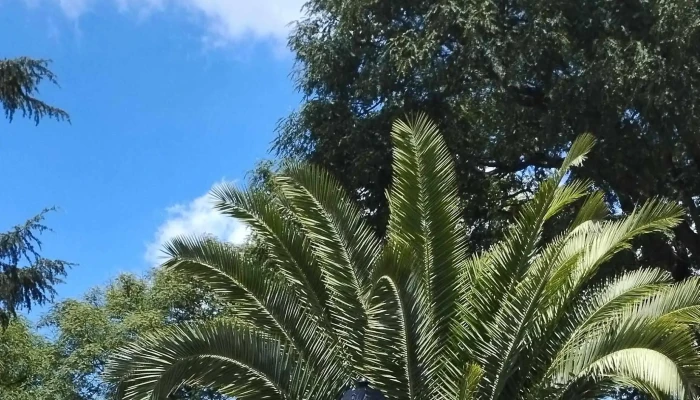 Plaza Vidiella -  Horario - Montevideo