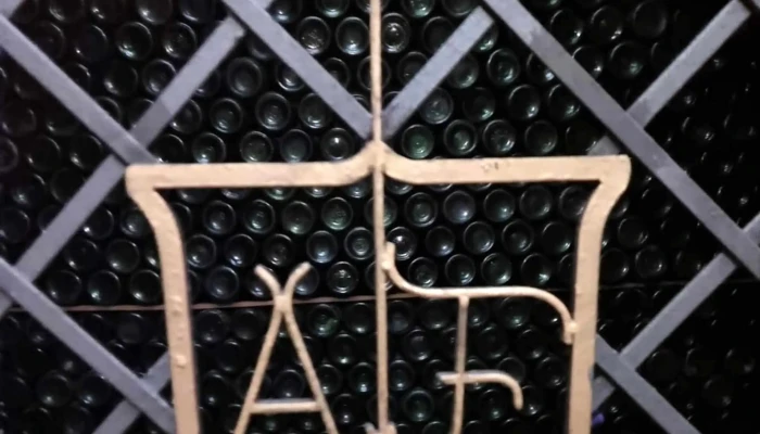 Plaza Vidiella -  Numero - Montevideo