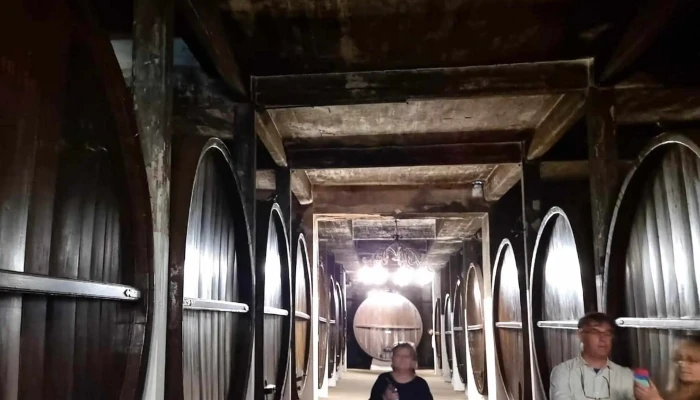 Plaza Vidiella -  Promocion - Montevideo