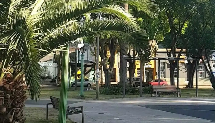 Plaza Vidiella -  Videos - Montevideo