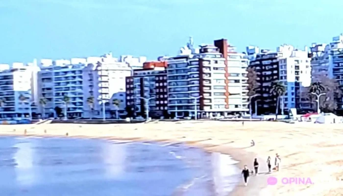 Pocitos -  Todas - Montevideo