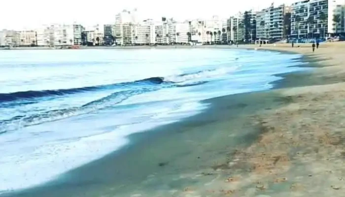 Pocitos -  Videos - Montevideo