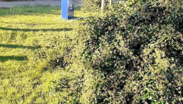 Policlinica Casmu La Floresta -  Abierto Ahora - La Floresta