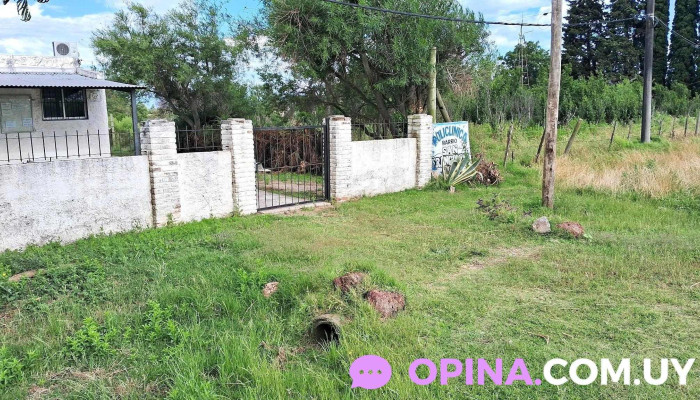 Policlinica San Francisco -  Puntaje - Carmelo