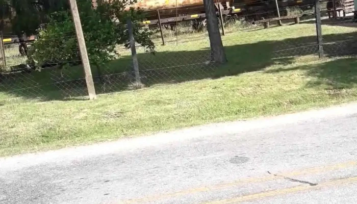 Policlinica Toledo Asse Videos - Toledo