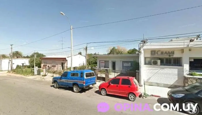 Policlinico Crami Sauce - Sauce