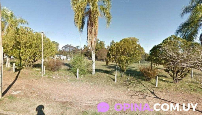 Policlínico Veterinario - Fvet - Av. Juan Harriague