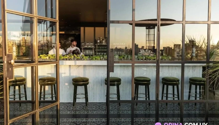 Polo Bamba -  Ambiente - Montevideo