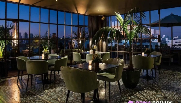 Polo Bamba -  Del Propietario - Montevideo