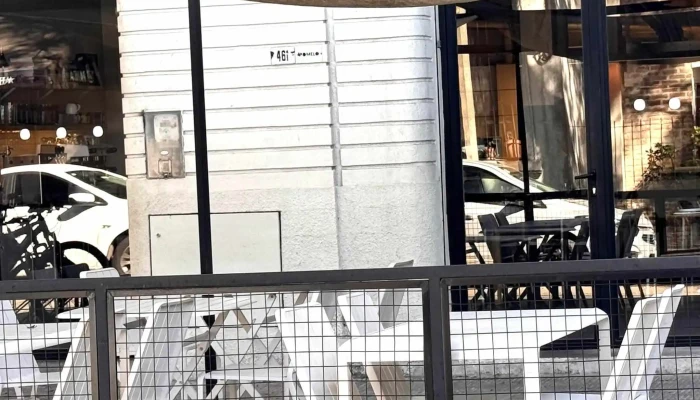 Pomelo -  Comentario 1 - Montevideo