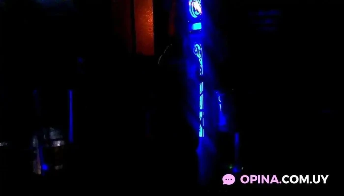 Pool Picapalos -  Videos - Montevideo