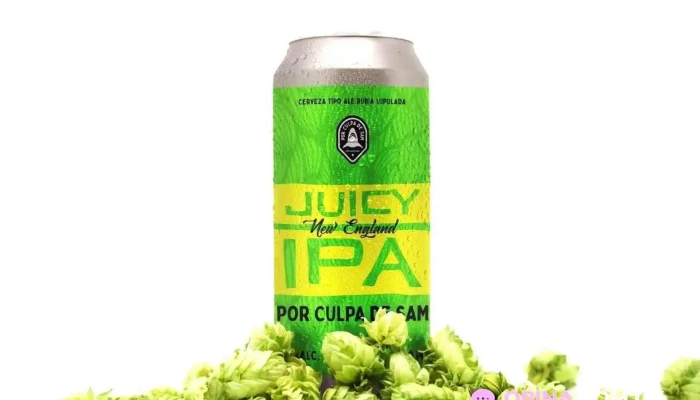 Por Culpa De Sam -  Del Propietario - Montevideo