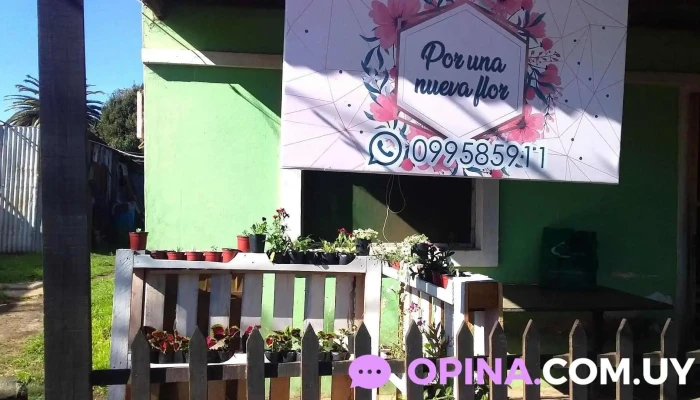 Por Una Nueva Flor - Guichón