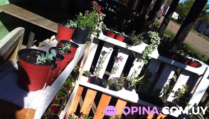 Por Una Nueva Flor -  Interior - Guichón