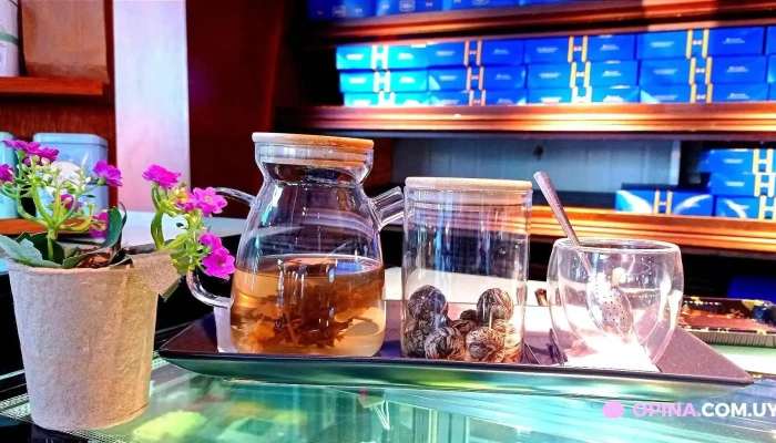 Porto Vanila - Montevideo