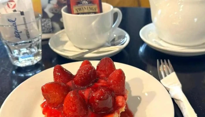 Porto Vanila -  Recientes - Punta del Este