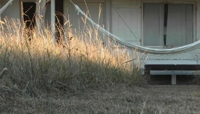 Posada Buscavida -  Todas - Oceanía del Polonio