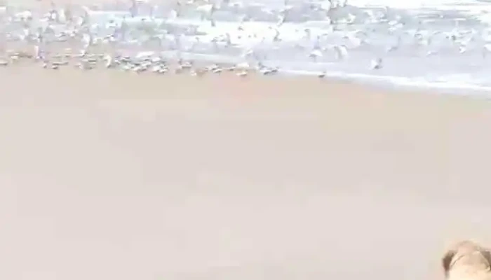 Posada Buscavida -  Videos - Oceanía del Polonio