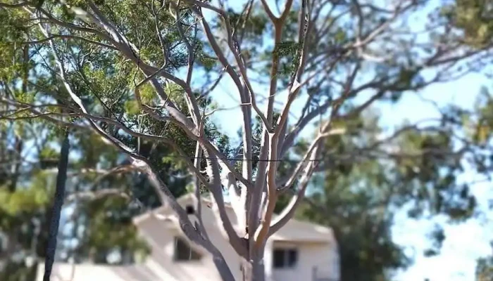 Posada Casona De La Paz -  Todas - Colonia Valdence