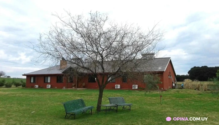 Posada De Campo Los Azahares -  Todo - Carmelo