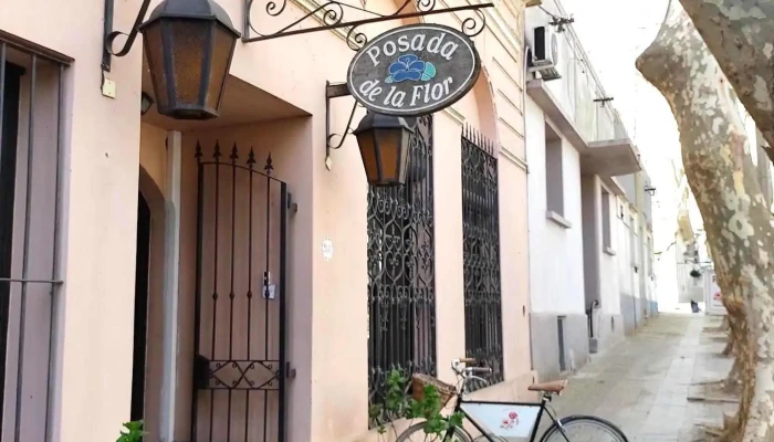 Posada De La Flor -  Todas - Col. del Sacramento