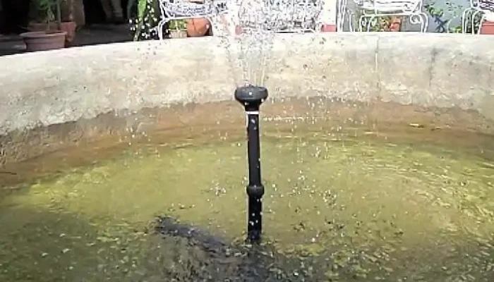 Posada De La Flor -  Videos - Col. del Sacramento