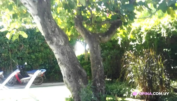 Posada Del Angel De Los Visitantes - Col. del Sacramento