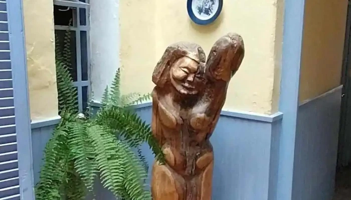 Posada Del Angel Videos - Col. del Sacramento