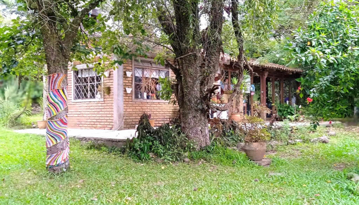 Posada Del Bosque -  Todas - Rivera