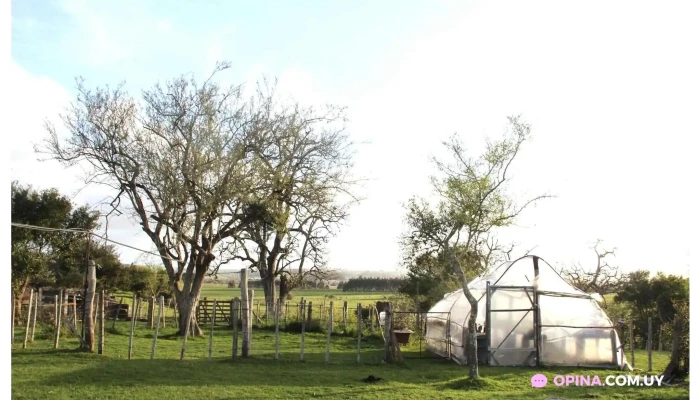 Posada El Campo -  Del Propietario - Mariscala