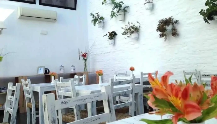 Posada El Capullo -  Del Propietario - Col. del Sacramento