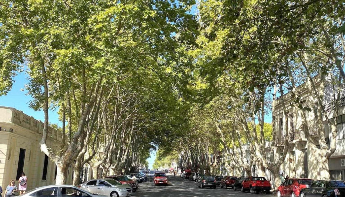 Posada El Viejo Consulado -  Exterior - Col. del Sacramento