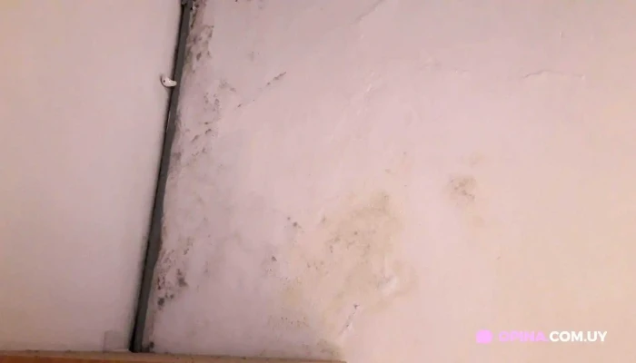 Posada El Viejo Consulado -  Videos - Col. del Sacramento