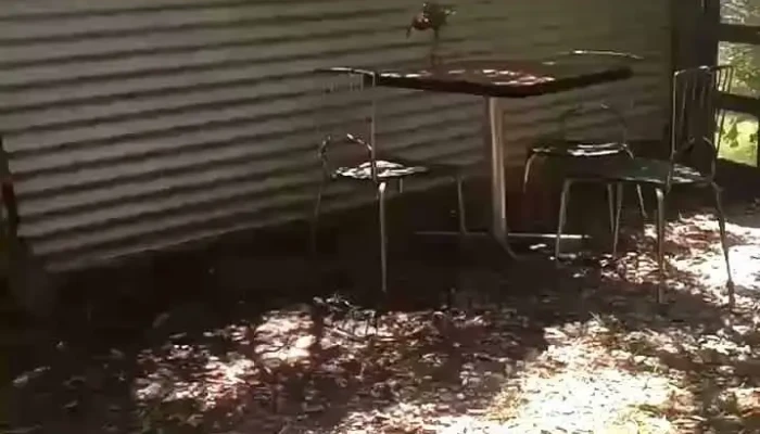 Posada Irsis -  Videos - Punta Rubia (la Pedrera)