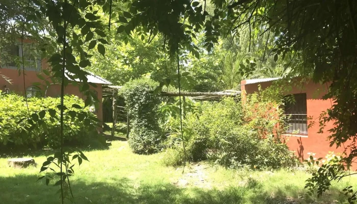 Posada La Blanquita -  Exterior - El Tesoro