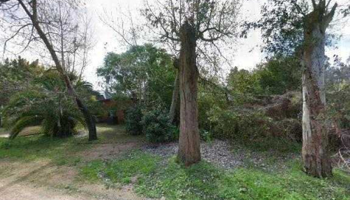 Posada La Blanquita -  Street View Y 360 - El Tesoro