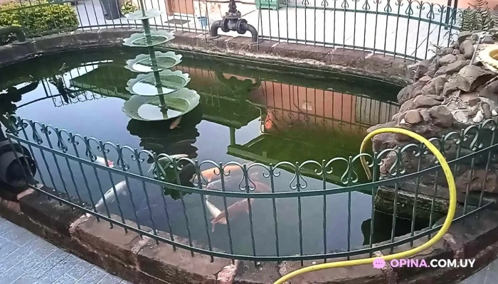 Posada La Casona Videos - Rivera