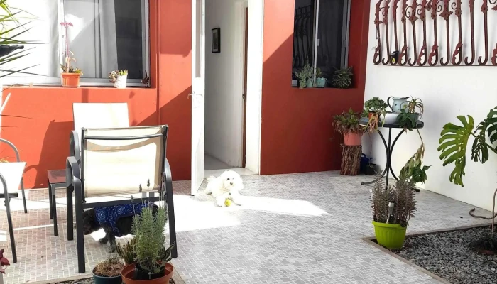 Posada Mela -  Todas - Col. del Sacramento