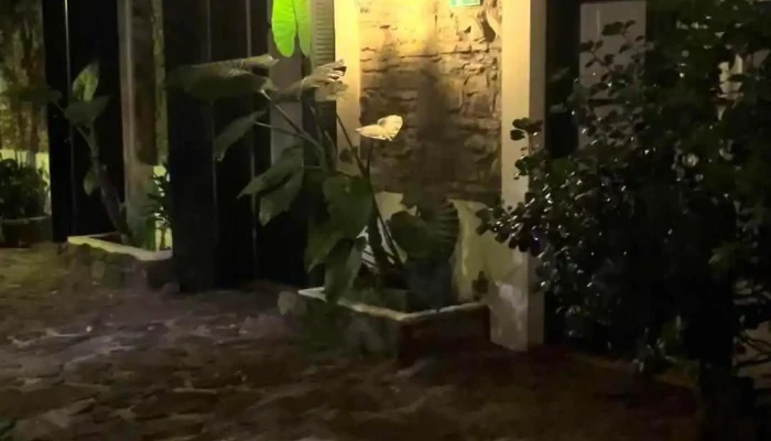 Posada Plaza Mayor -  Mas Recientes - Col. del Sacramento