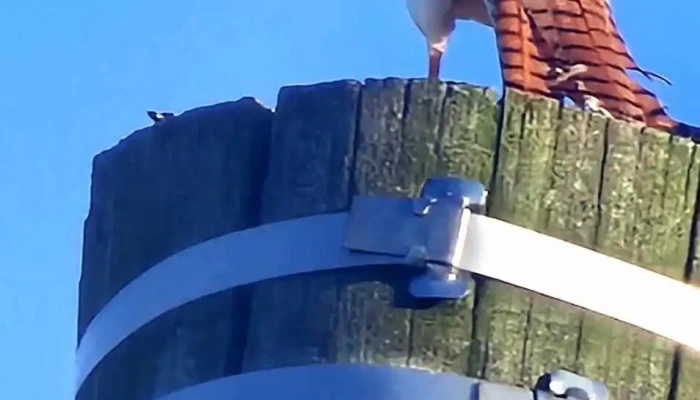 Posada Sierra De Mahoma -  Exterior - Departamento de San José